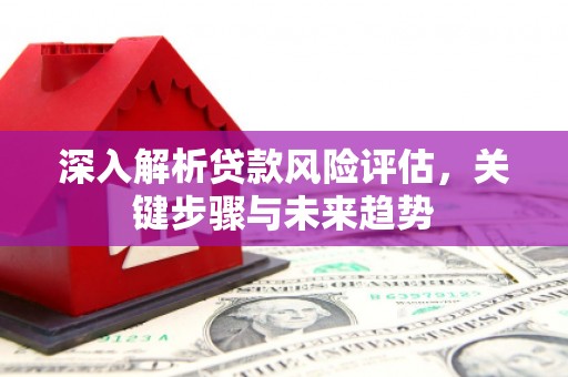 德令哈深入解析贷款风险评估，关键步骤与未来趋势