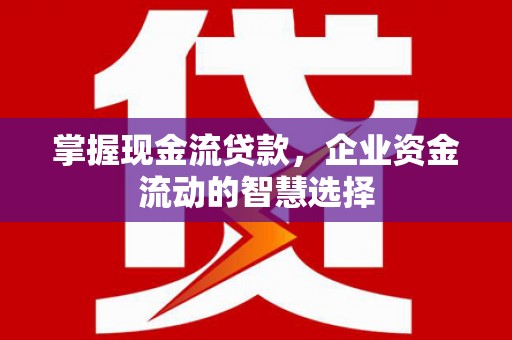 德令哈掌握现金流贷款，企业资金流动的智慧选择