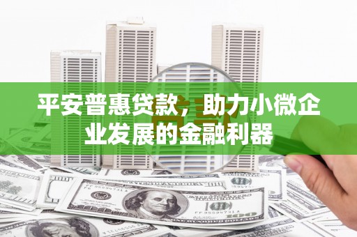 德令哈平安普惠贷款，助力小微企业发展的金融利器