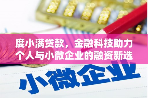 德令哈度小满贷款，金融科技助力个人与小微企业的融资新选择
