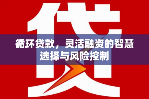 德令哈循环贷款，灵活融资的智慧选择与风险控制