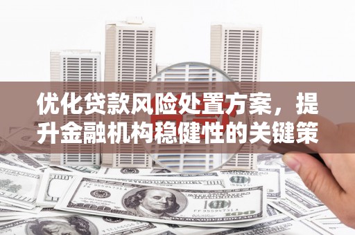 德令哈优化贷款风险处置方案，提升金融机构稳健性的关键策略