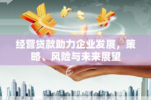 德令哈经营贷款助力企业发展，策略、风险与未来展望