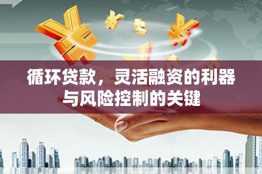 德令哈循环贷款，灵活融资的利器与风险控制的关键