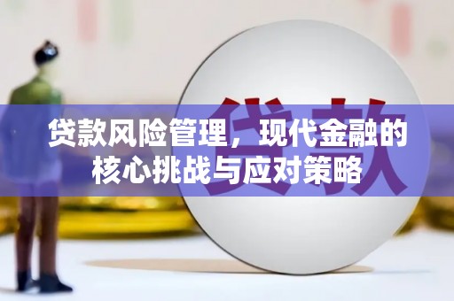 德令哈贷款风险管理，现代金融的核心挑战与应对策略