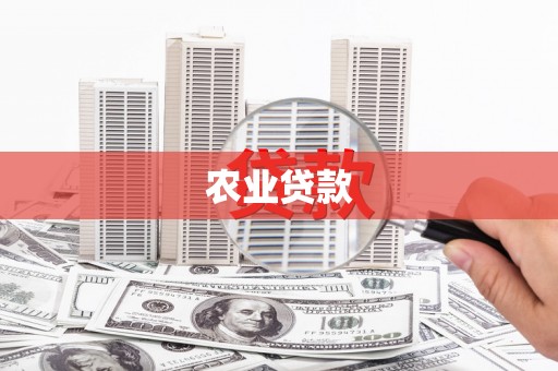 德令哈农业贷款