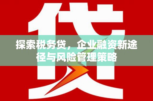 德令哈探索税务贷，企业融资新途径与风险管理策略