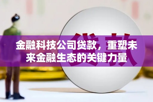 德令哈金融科技公司贷款，重塑未来金融生态的关键力量