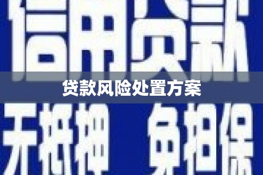 德令哈贷款风险处置方案