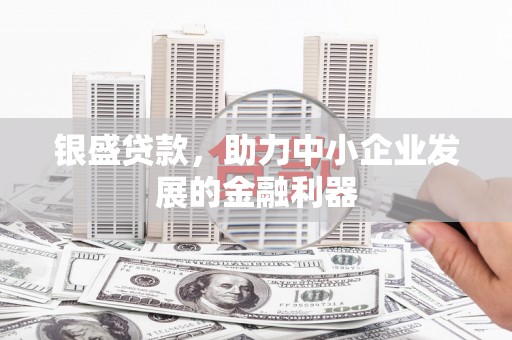 德令哈银盛贷款，助力中小企业发展的金融利器