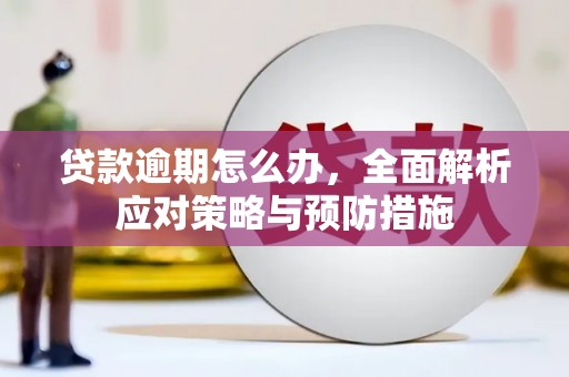 德令哈贷款逾期怎么办，全面解析应对策略与预防措施