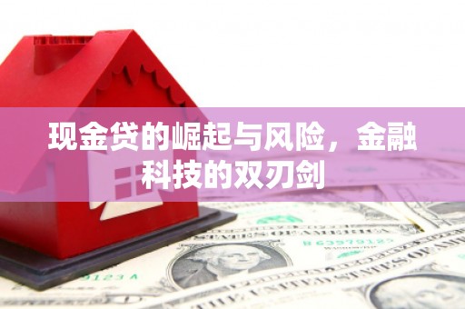 德令哈现金贷的崛起与风险，金融科技的双刃剑