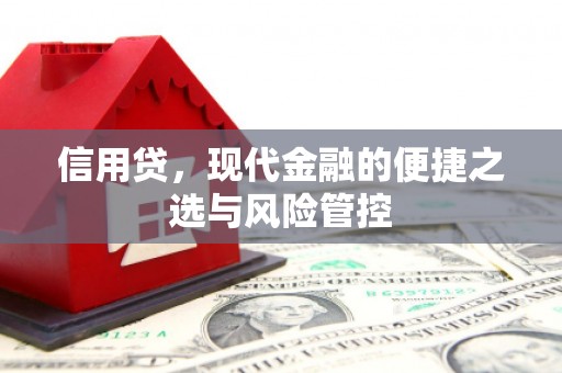 德令哈信用贷，现代金融的便捷之选与风险管控