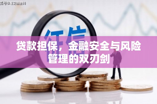 德令哈贷款担保，金融安全与风险管理的双刃剑