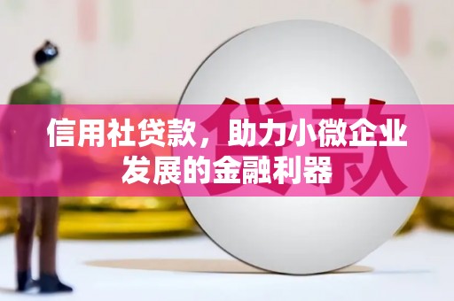 德令哈信用社贷款，助力小微企业发展的金融利器