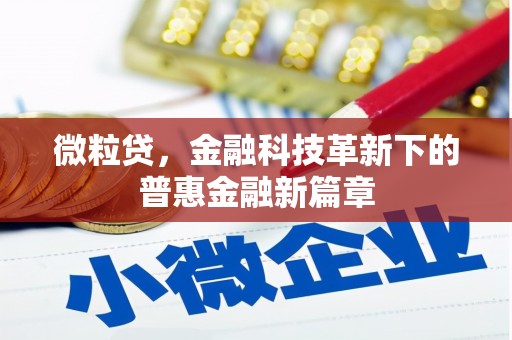德令哈微粒贷，金融科技革新下的普惠金融新篇章