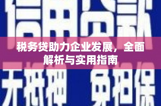 德令哈税务贷助力企业发展，全面解析与实用指南