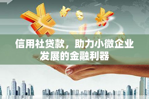 德令哈信用社贷款，助力小微企业发展的金融利器