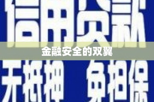德令哈金融安全的双翼