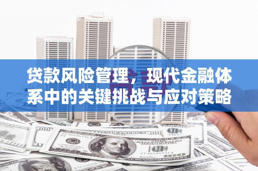 德令哈贷款风险管理，现代金融体系中的关键挑战与应对策略