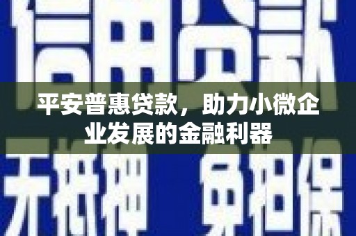 德令哈平安普惠贷款，助力小微企业发展的金融利器