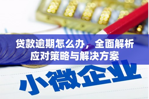 德令哈贷款逾期怎么办，全面解析应对策略与解决方案