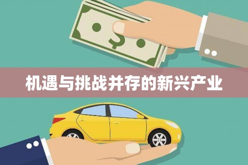 德令哈机遇与挑战并存的新兴产业