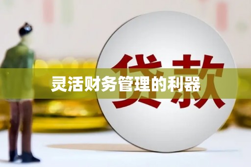 德令哈灵活财务管理的利器
