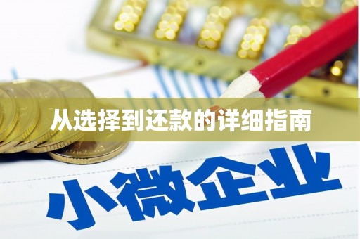 德令哈从选择到还款的详细指南