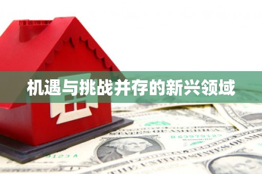 德令哈机遇与挑战并存的新兴领域