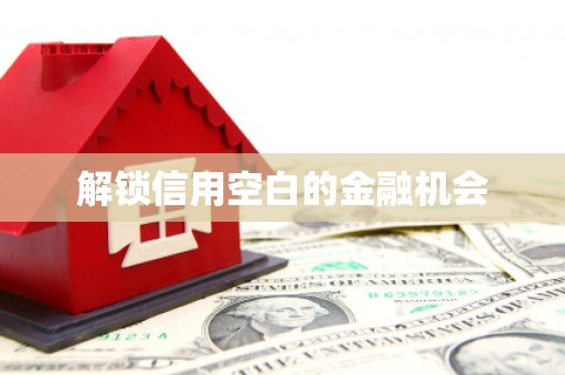 德令哈解锁信用空白的金融机会