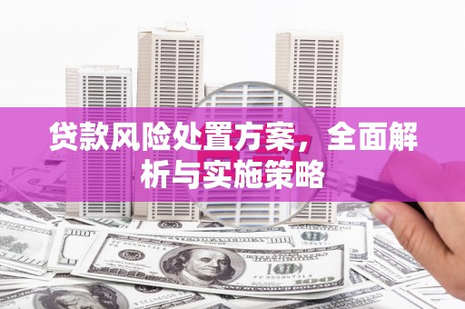 德令哈贷款风险处置方案，全面解析与实施策略
