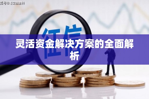 德令哈灵活资金解决方案的全面解析