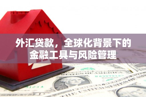 德令哈外汇贷款，全球化背景下的金融工具与风险管理