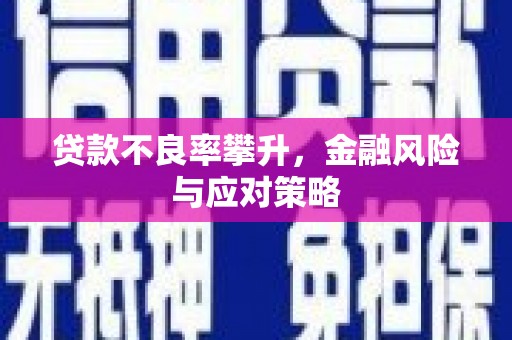 德令哈贷款不良率攀升，金融风险与应对策略